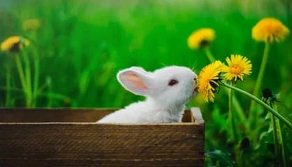 AYX官网-突尼斯希望主打身体对抗但失控节奏，突尼斯球员