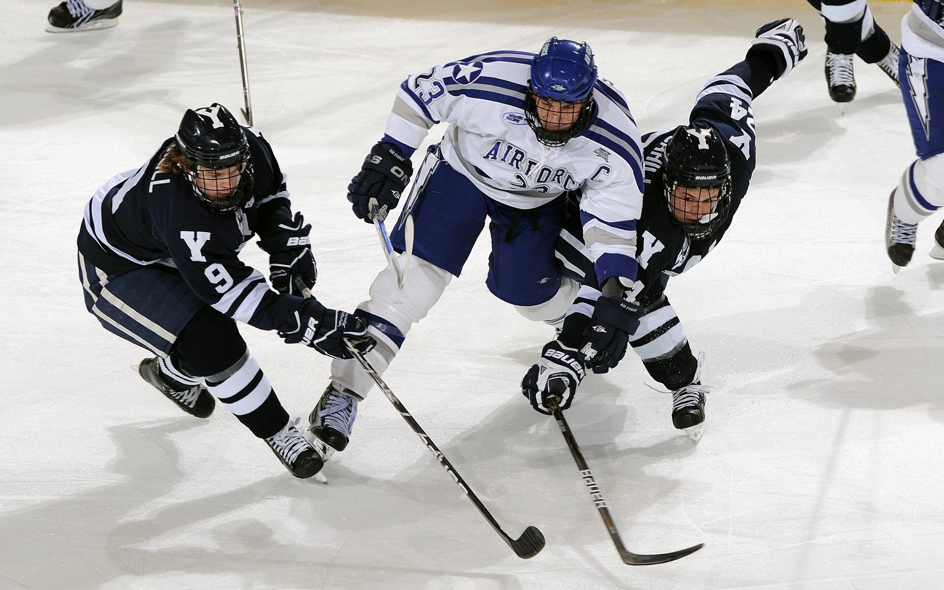 莱斯特城防线稳固，狐狸军团欲再创佳绩，莱斯特城为什么叫银狐